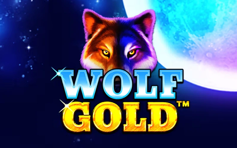 Ative as rodadas bônus no slot Wolf Gold no cassino 1win.